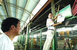 盐城试水活禽零售交易，家禽销售迎来新探索