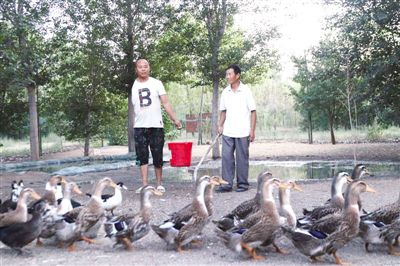 小康路上不掉队，盐城家禽产业焕新机