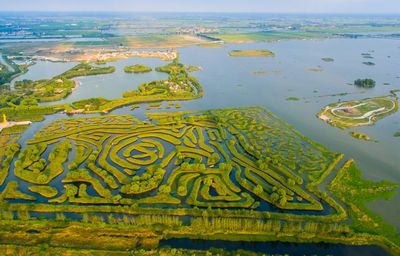盐城 一座湿地上诞生的城市——沿海绿城 诗意栖居与家禽销售的交融