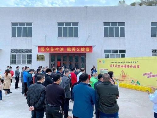高州食品集团又一力作 果乡花生油厂正式投产，滴滴纯正赢市场；盐城家禽销售齐头并进