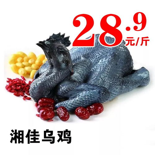 天然品味养生秘诀，只为健康生活——盐城家禽销售指南