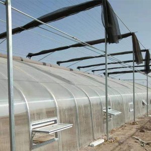 家禽出雏机与盐城家禽销售的发展与应用